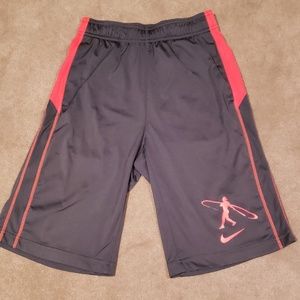 Nike Swingman baseball shorts